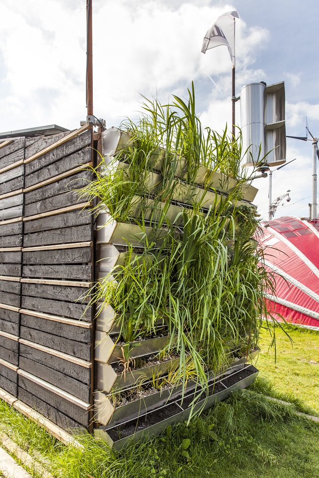 De groene, zuiverende gevelwand® van Tiny TIM